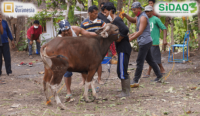 foto tabungan qurban quranesia x sidaq 2