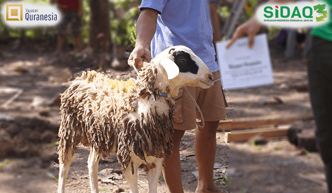 foto tabungan qurban quranesia x sidaq 3